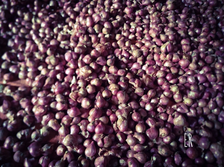 Tumpukkan bawang merah kering seharga Rp40.000,- per kilogram di Pasar Slogohimo, Wonogiri | Dok.Pri