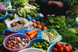 biar sehat harus banyak makan sayur (dok.freepik.com)