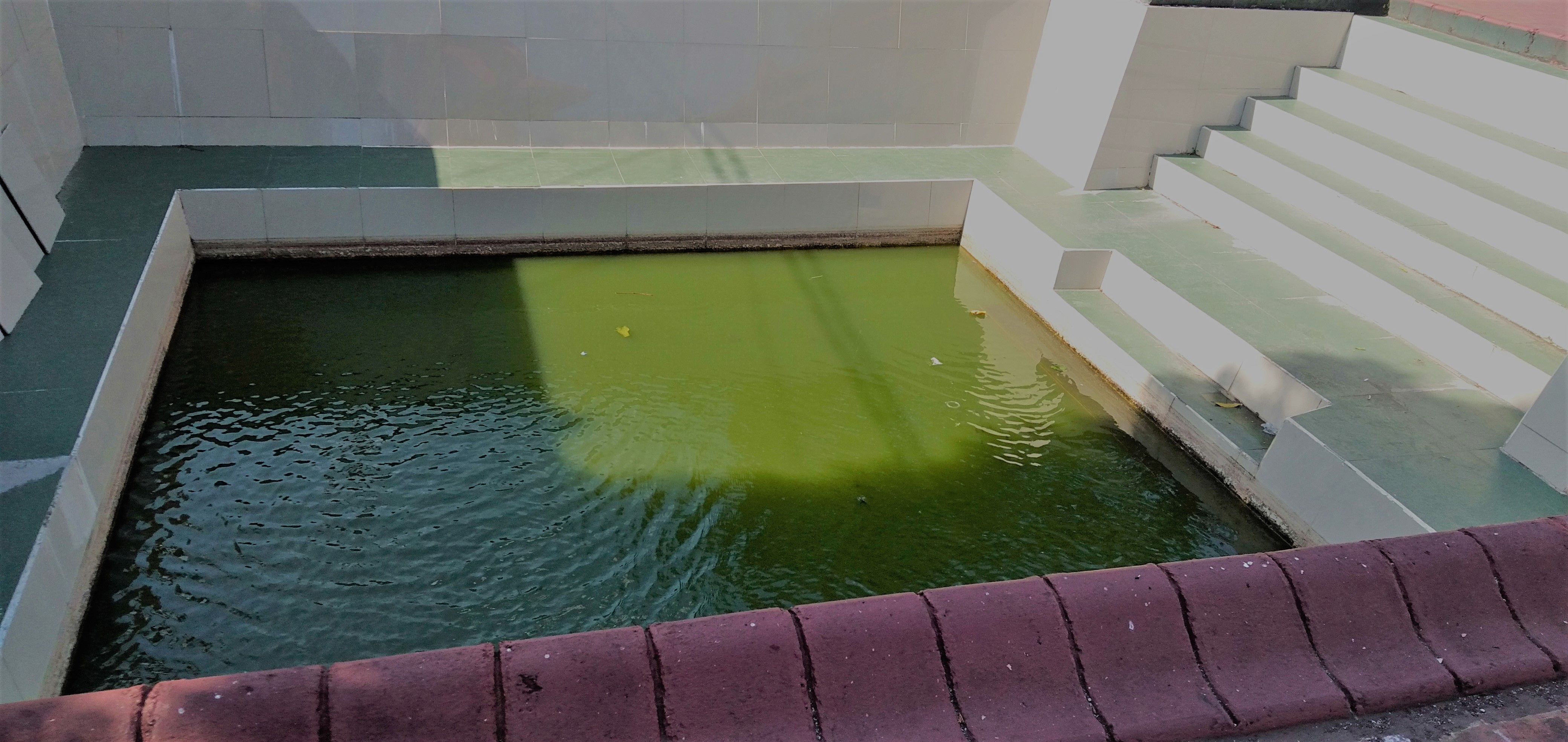 Kolam di Pelataran Masjid Sultan Ternate [dokpri, 2019]