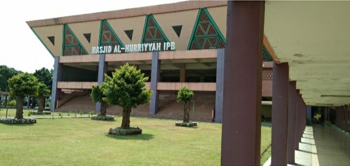Penampakan Masjid Al-Hurriyyah IPB dari Lorong Menuju Ruang Utama Perempuan (Dok. Pribadi)