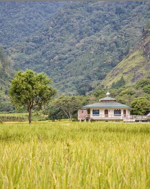 Surau indah di tengah sawah yang indah itu. Dokpri