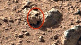 Foto Mirip Tempurung Kepala di Planet Mars. Sumber: detik.com
