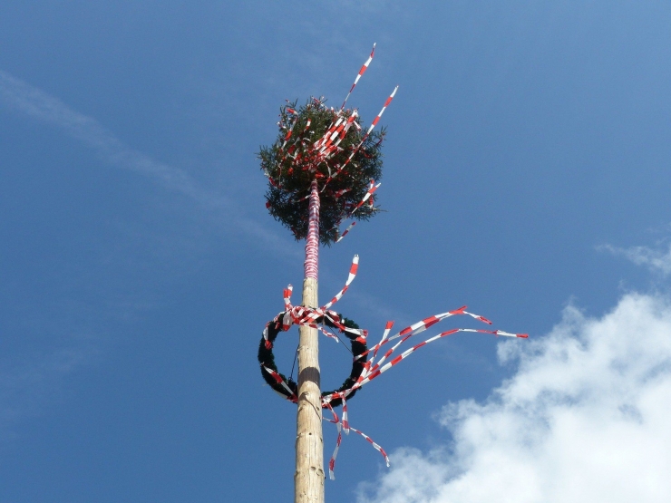 Maibaum - foto: pixabay.com