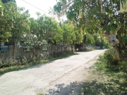 Jalan desa di depan halaman SD Inpres Desa Serdang Kec. Barusjahe, 2019 (Dokpri)