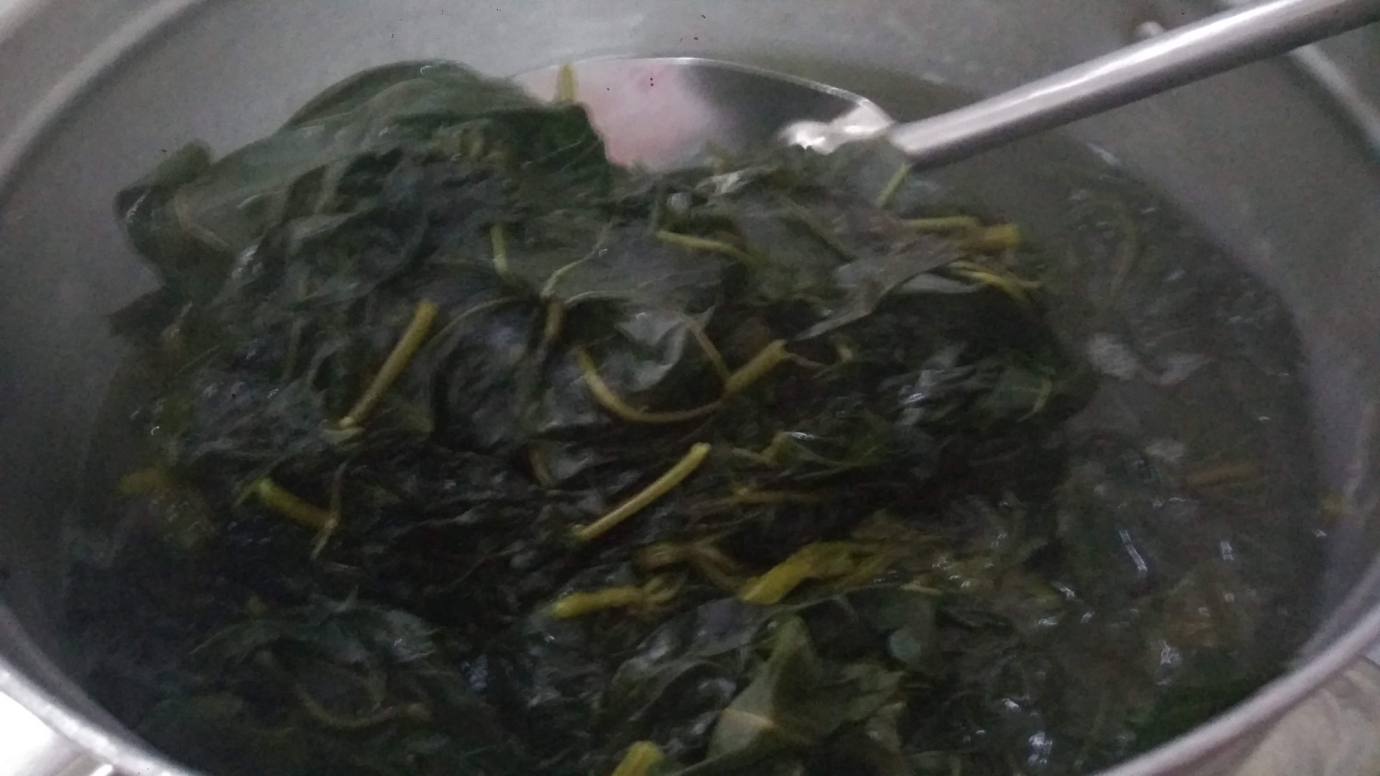 Merebus daun pepaya Jepang agar lebih aman dikonsumsi (dok.windhu)