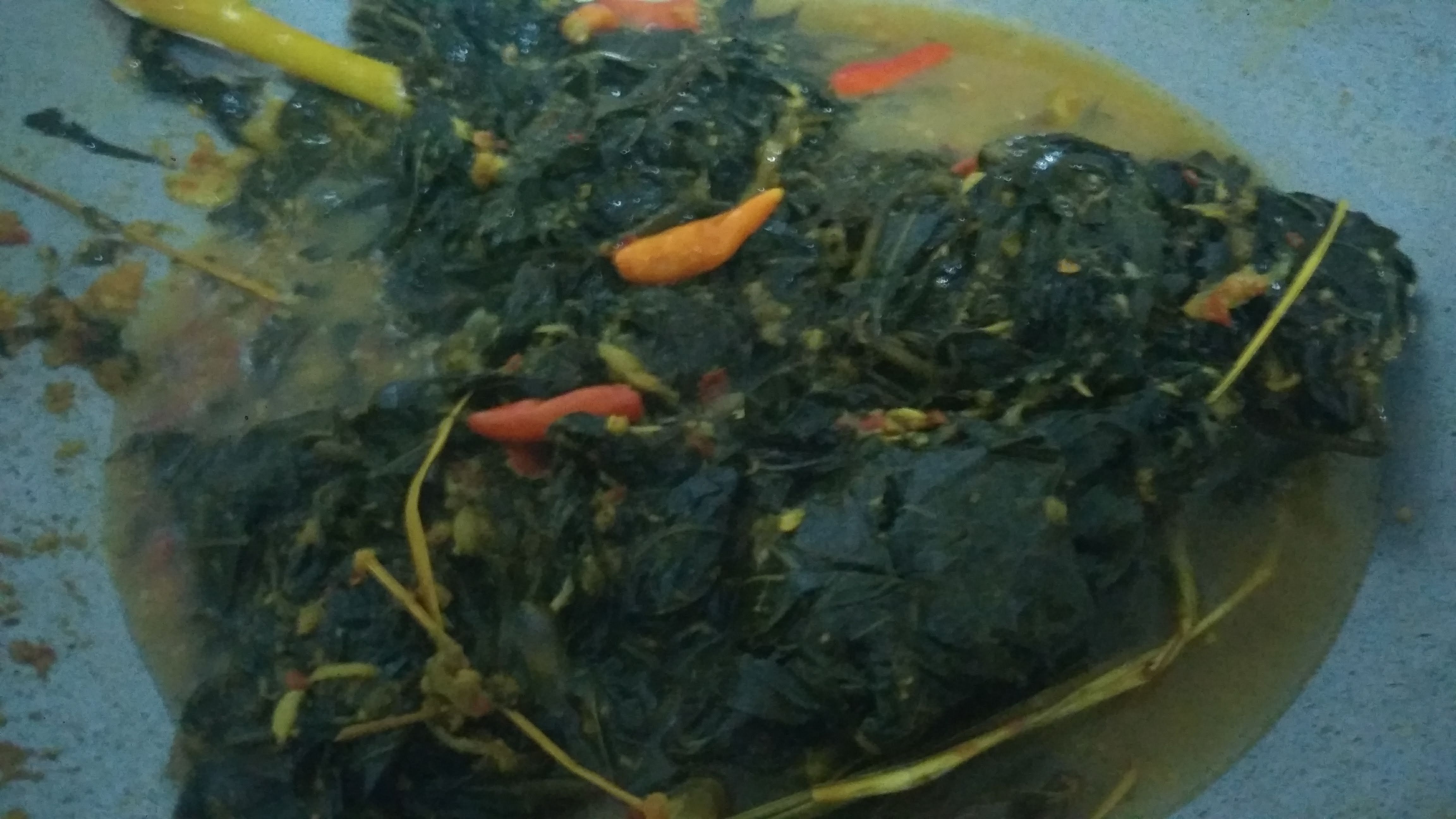 Gulai daun pepaya Jepang (dok.windhu)