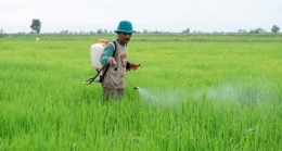 The biggest challenges agriculture sectors during COVID-19 pandemic could be in the form of obtaining inputs and distributing outputs (Pic: tabloidsinartani.com).