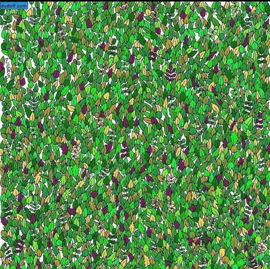 Game carilah seekor &nbsp;kodok dalam gambar ini persembahan dudolf.com yang bisa dijadikan bahan ngabuburit digital