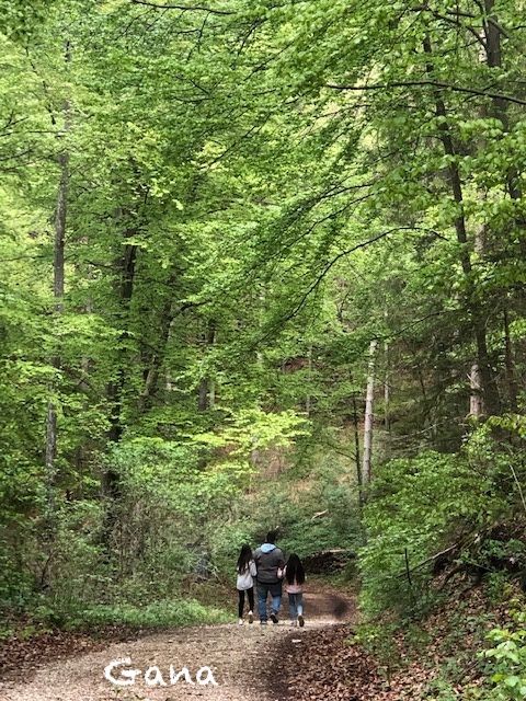 Ngabuburit di hutan (Dok.Gana)