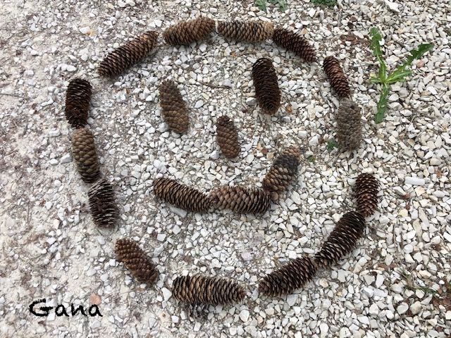 Membuat smiley dari buah pinus (dok.Gana)