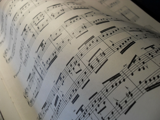 Ilustrasi standard music notation (Sumber : pixabay.com/rjasso)