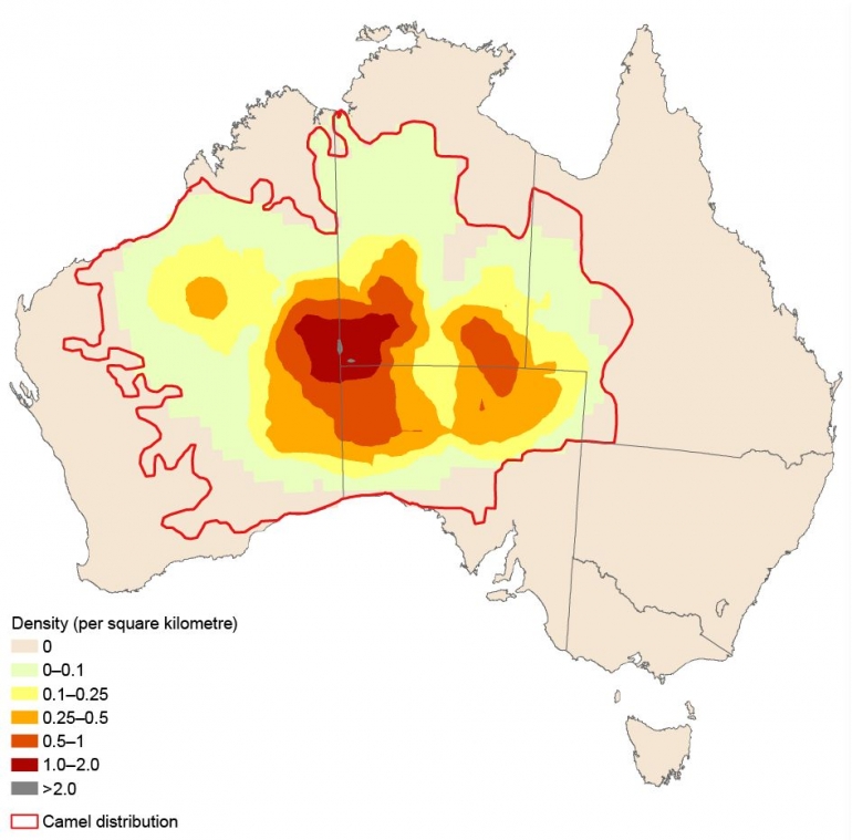 Distribution of feral camels in Australia in 2008 (source: Australia State of Environment Report 2016)