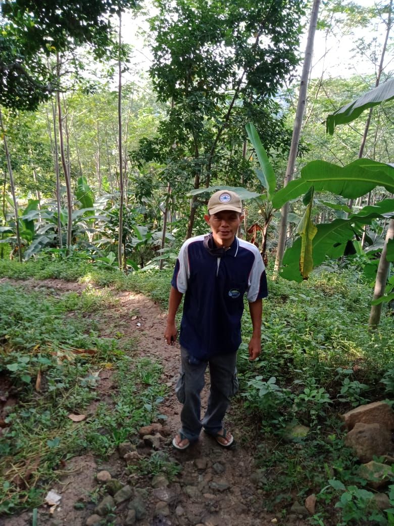 Jalan sehat di hutan dok Eko S Nurcahyadi