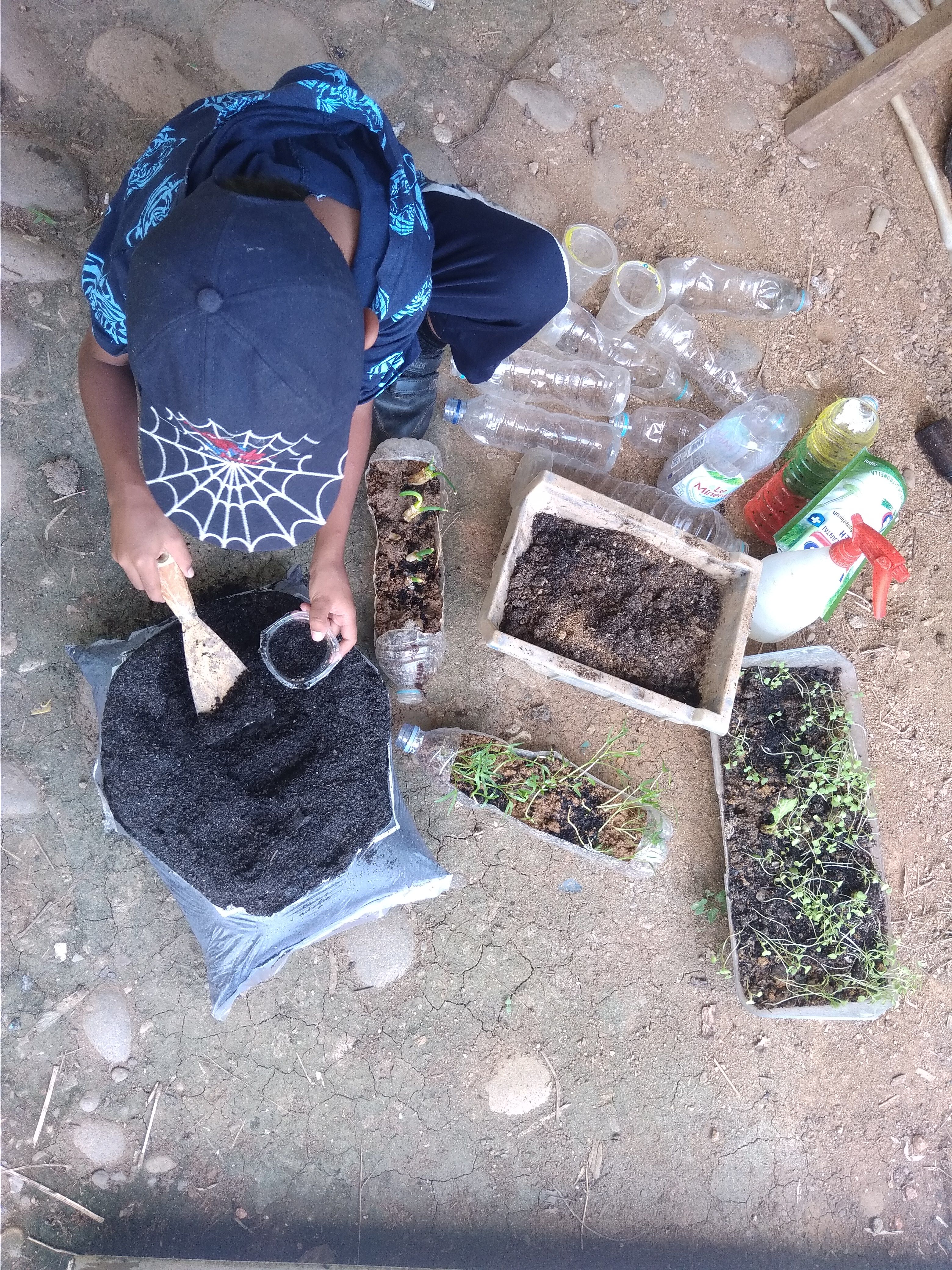 Berkebun dari wadah daur ulang