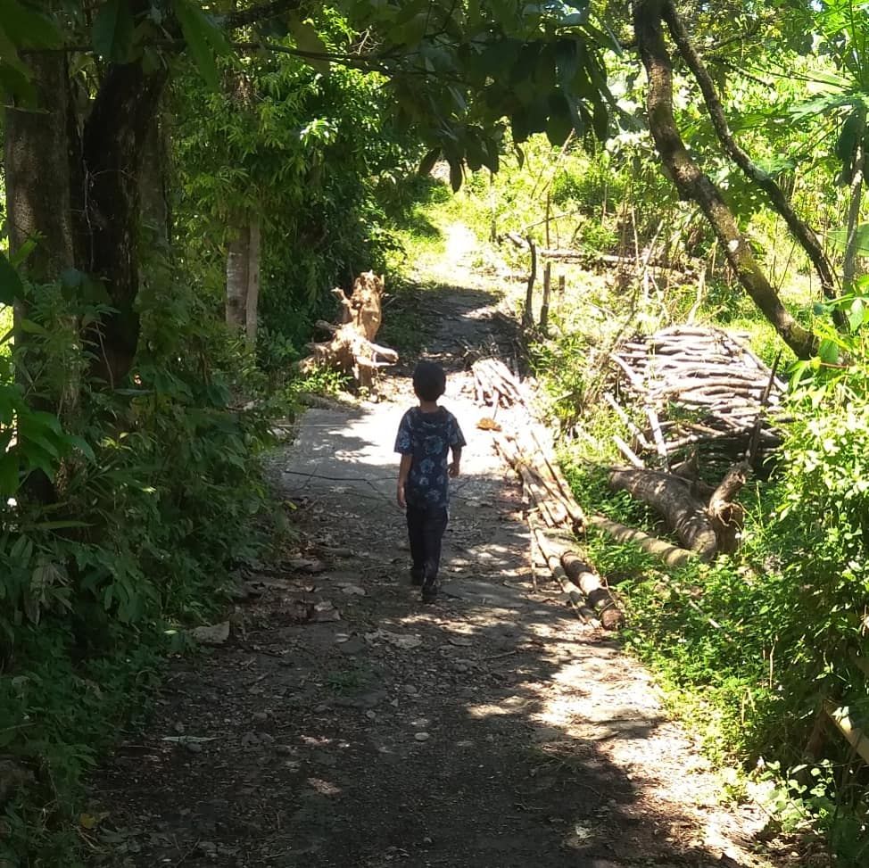Jalan jalan di jalan setapak hutan kecil&nbsp;