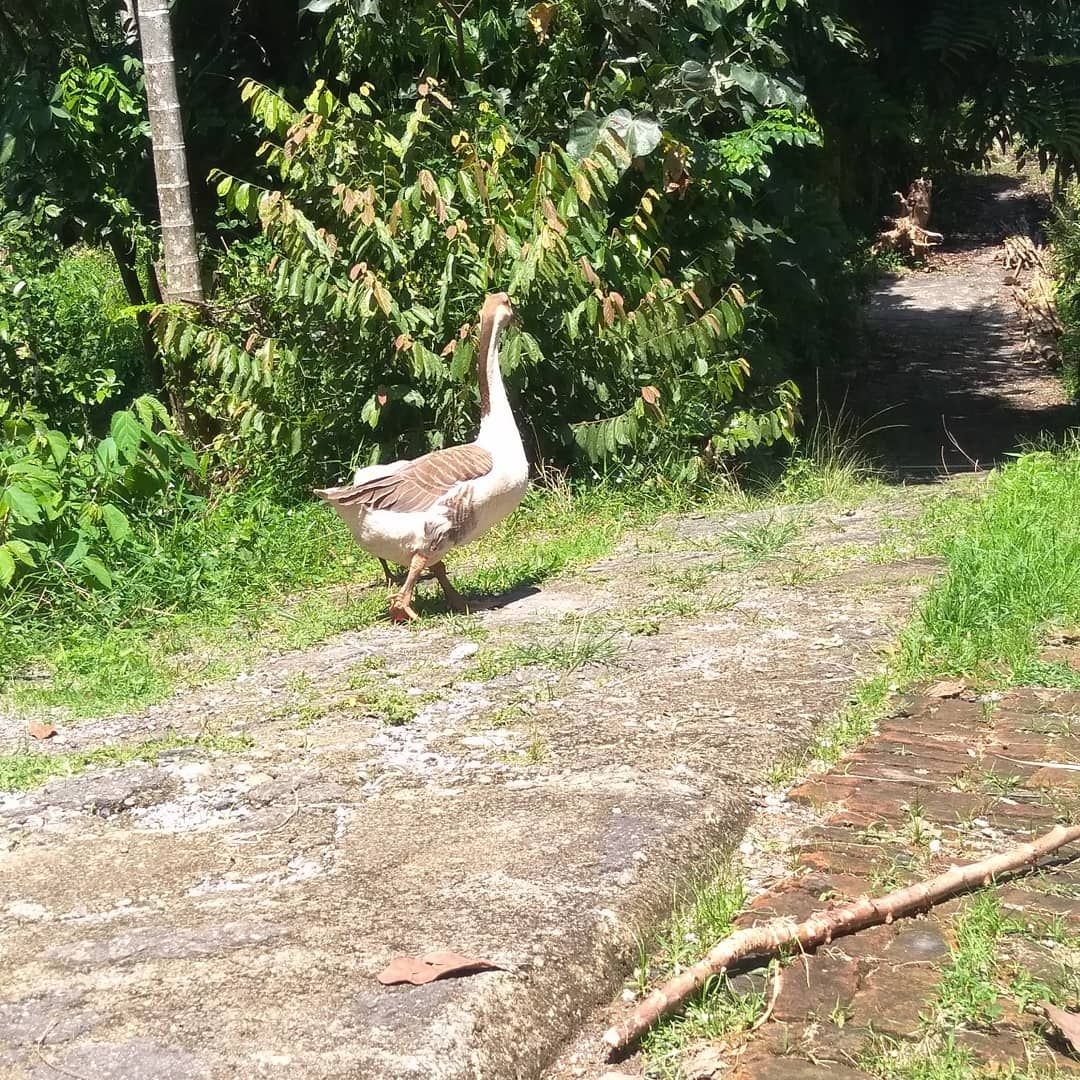 Jalan setapak yang kami pakai berolahraga