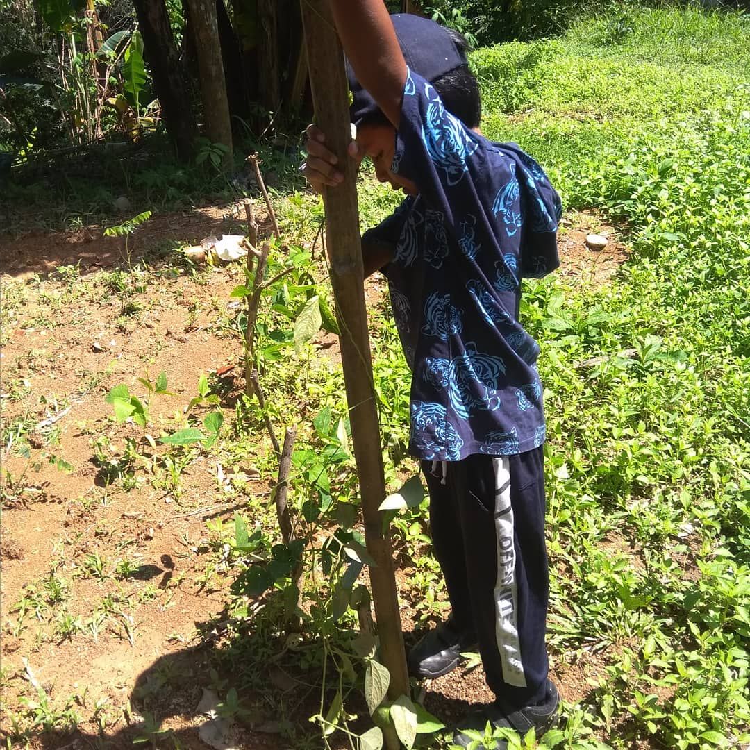 Berkebun sekaligus berolahraga