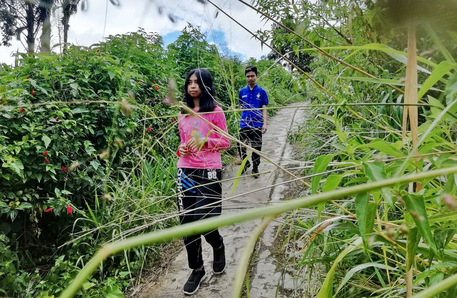 Di samping rumah kami ada gang yang menebing, cocok untuk jalan kaki dan cari-cari keringat. Dok. Ozy V. Alandika