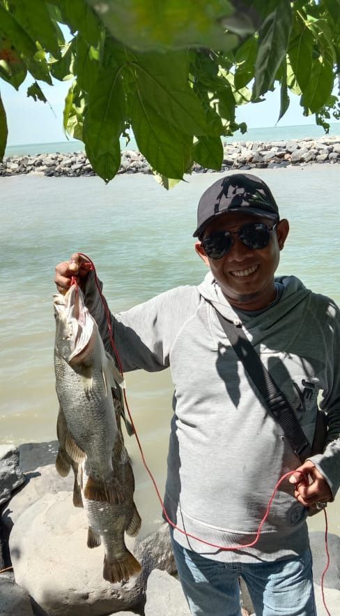 Ikan kakap hasil mancing Dok. Tutut Rahardyan