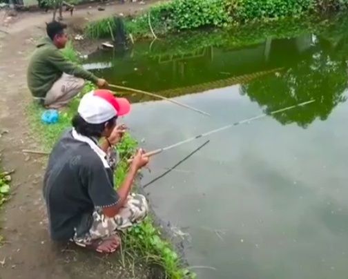 Dok. Tegal Angler Baramundi