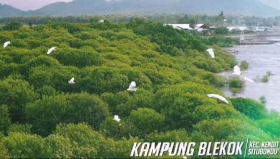 source : mangobay.co.id