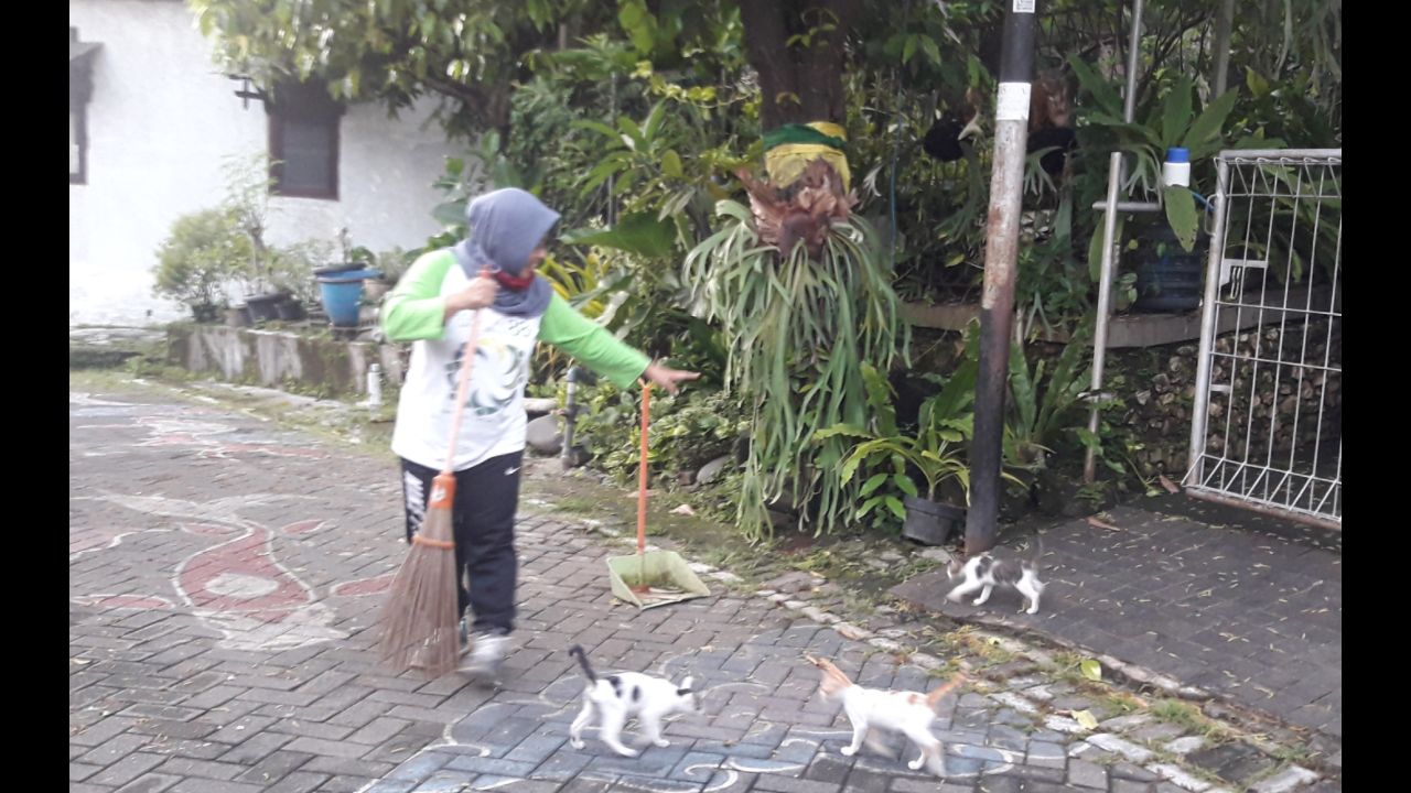 Selesai berolahraga, saya menyapu halaman. Ditemani kucing-kucing yang setia. | Foto: dokpri.