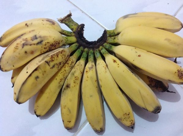  Buah pisang Kepok matang (Bugis: Utti Manurung. Sumber: Pinterest Indonesia 