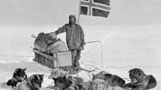 Tim Amundsen memanfaatkan tenaga Anjing dalam penjelajahannya (Sumber: www.coolantarctica.com)