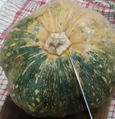 Ini labu kuning (dokpri)