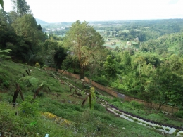 Rencana lahan objek wisata taman bambu di lereng Bukit Gundaling, Desa Gongsol, Kecamatan Merdeka, Kabupaten Karo (Dokpri)