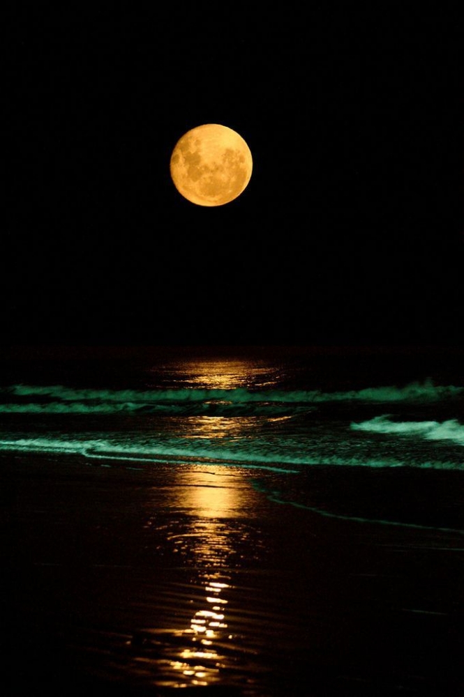 foto : Moon Night Beauty, pics.ukka.co