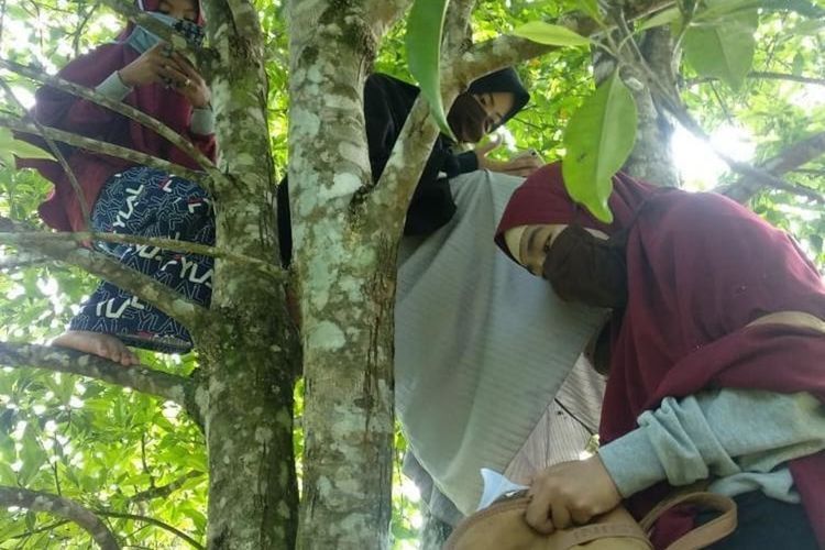 Sumber: Mahasiswa Dusun Salu Lompo Desa Rante Alang, Kecamatan Larompong Kabupaten Luwu, Sulawesi Selatan, Instagram dilansir dari Kompas.com