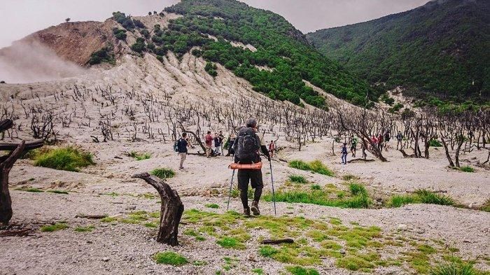 Gunung Papandayan (Sumber: travel.tribunnews.com)