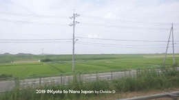 Dokumentasi pribadi | Pemandangan hijau, membentang antara jalur kereta dengan pedesaan antara Kyoto dan Nara