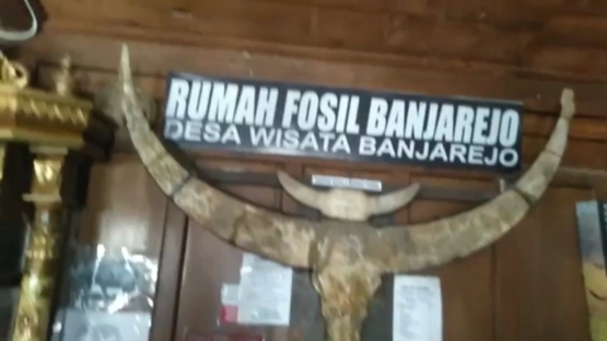 Koleksi benda purbakala di rumah fosil | tangkapan layar YouTube mas nawir