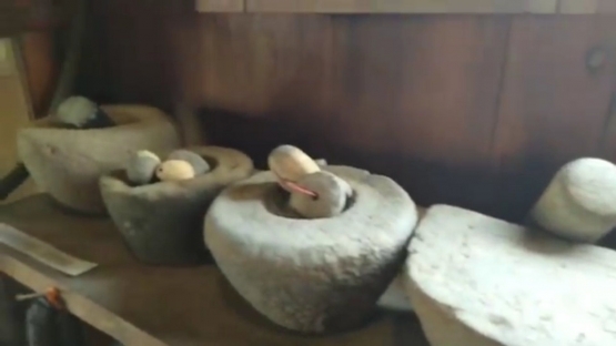 Benda purbakala di rumah fosil | tangkapan layar YouTube mas nawir
