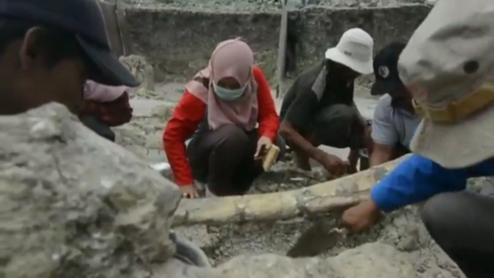 Proses penggalian fosil raksasa gajah stegodon | tangkapan layar YouTube mas nawir