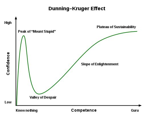 Grafik Dunning-Kruger Effect (Sumber: Wikipedia)