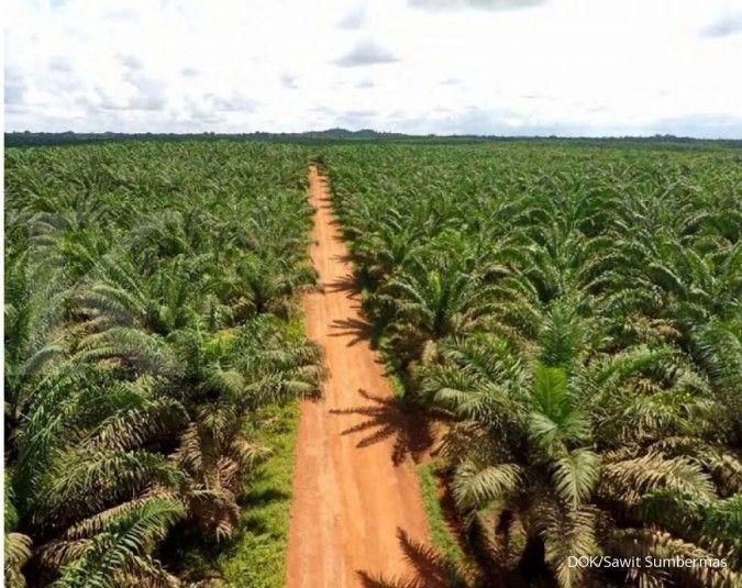 Perkebunan kelapa sawit, bukan tanaman yang paling  ekspansif  dalam gunakan lahan. (foto: kontan.co.id) 