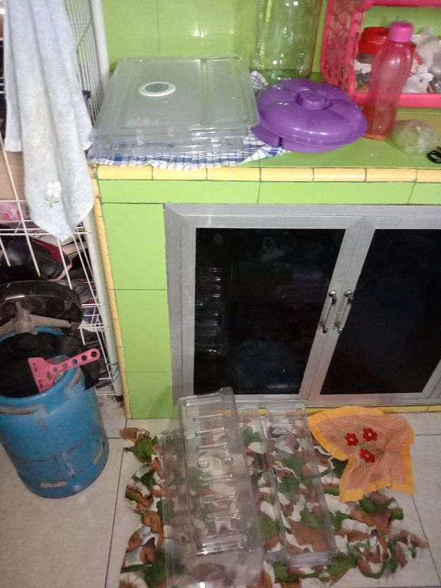 Isi kulkas jangan lupa dibersihkan. - Dokpri