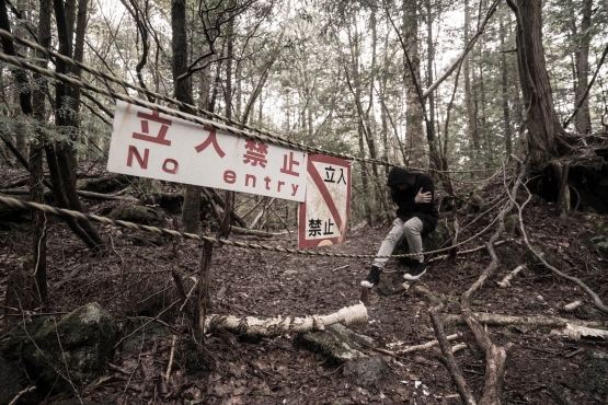 Aokigahara, hutan yang sering dijadikan orang sebagai lokasi bunuh diri. Sumber https://www.japantrips.co/