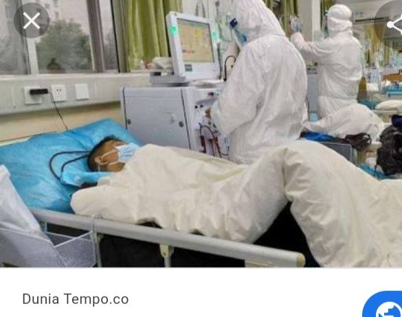 Dunia Tempo.com