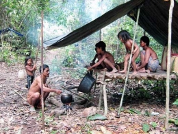 Kehidupan masyarakat 'Orang Rimba' di Jambi. (Foto: metropekanbaru.com).