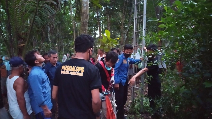 Petugas BPBD Purbalingga bersiap menyelamatkan seorang laki-laki yang terjebak di atas pohon kelapa/Foto: BPBD Purbalingga