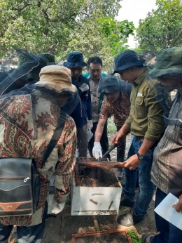Belajar Budidaya Lebah Madu di Wanawiyata Widyakarya Joho Lestari Kediri, Jawa Timur (Dok: BP2SDM KLHK)