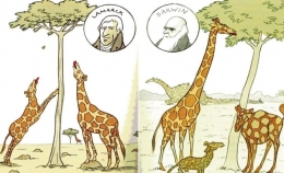 Ilustrasi adaptasi jerapah menurut Lamarck (kiri) & Darwin (kanan) (dok: funnyjucnk.com)