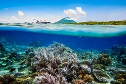 Ilustrasi: Keindahan Atas dan Bawah Laut Manado, Sulawesi Utara. (sumber: Shutterstock via kompas.com)