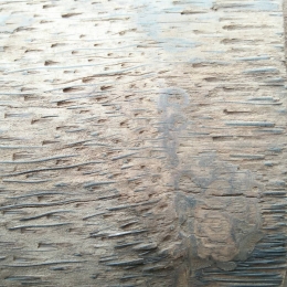 Beragam motif surealis permukaan batang kelapa (Dokpri)