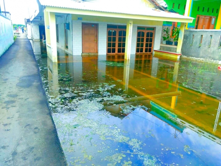 Dok. Zakri