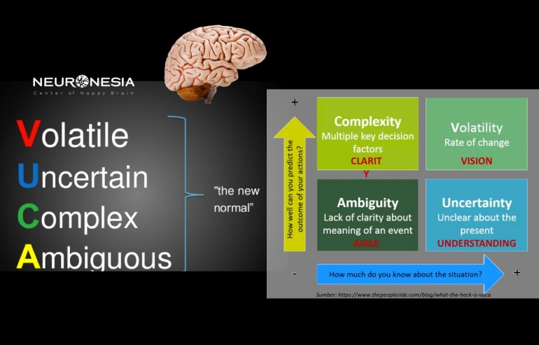 Dok. Neuronesia